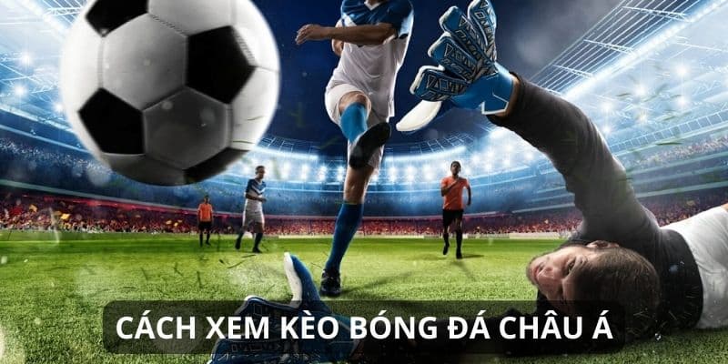 Các mẹo nâng cao kỹ năng đọc kèo bóng đá cho người mới bắt đầu