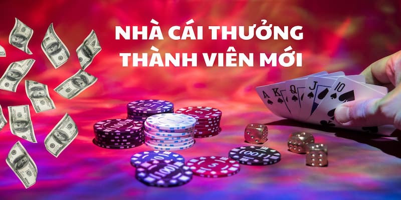 Tiêu chí lựa chọn nhà cái khuyến mãi đẳng cấp