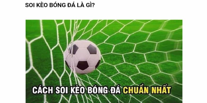 Tổng quan về kỹ năng đọc kèo bóng đá