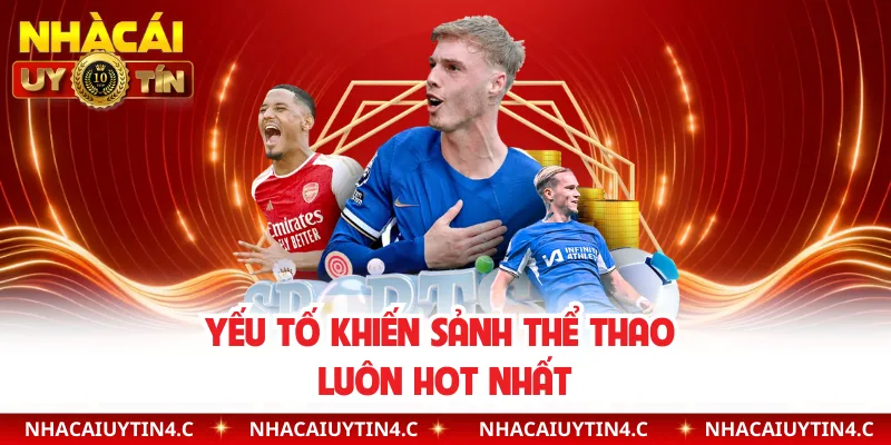 Yếu tố khiến sảnh thể thao luôn hot nhất