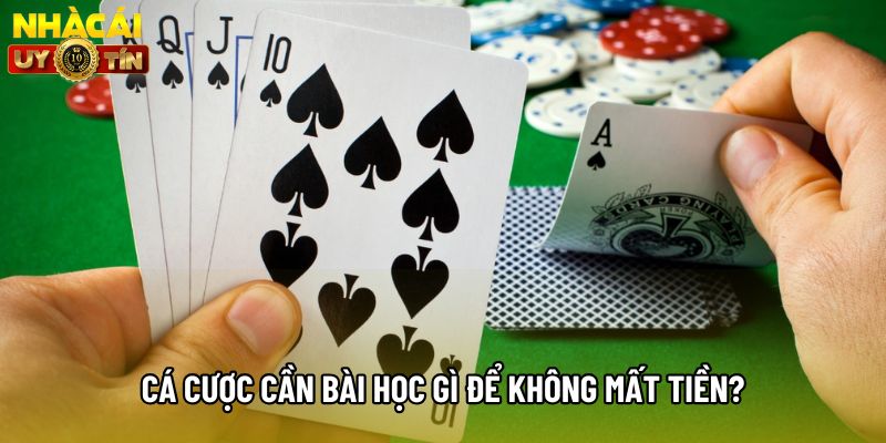 Cá cược cần bài học gì để không mất tiền? Cá cược cần bài học gì để không mất tiền?