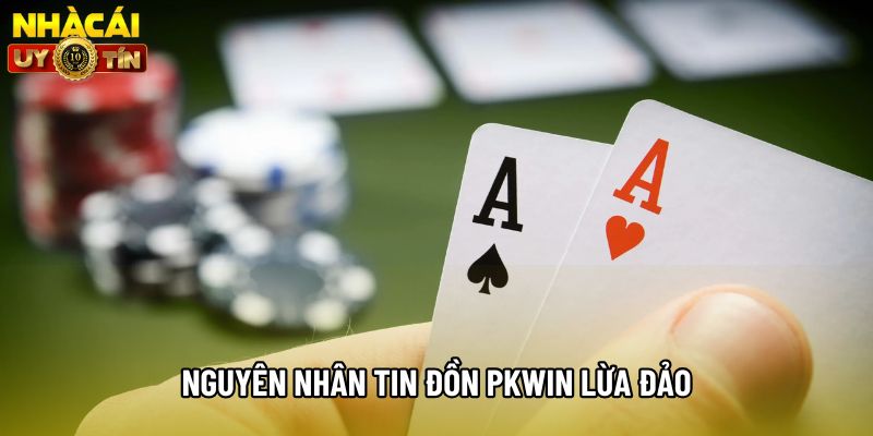 Nguyên nhân tin đồn Pkwin lừa đảo Nguyên nhân tin đồn Pkwin lừa đảo